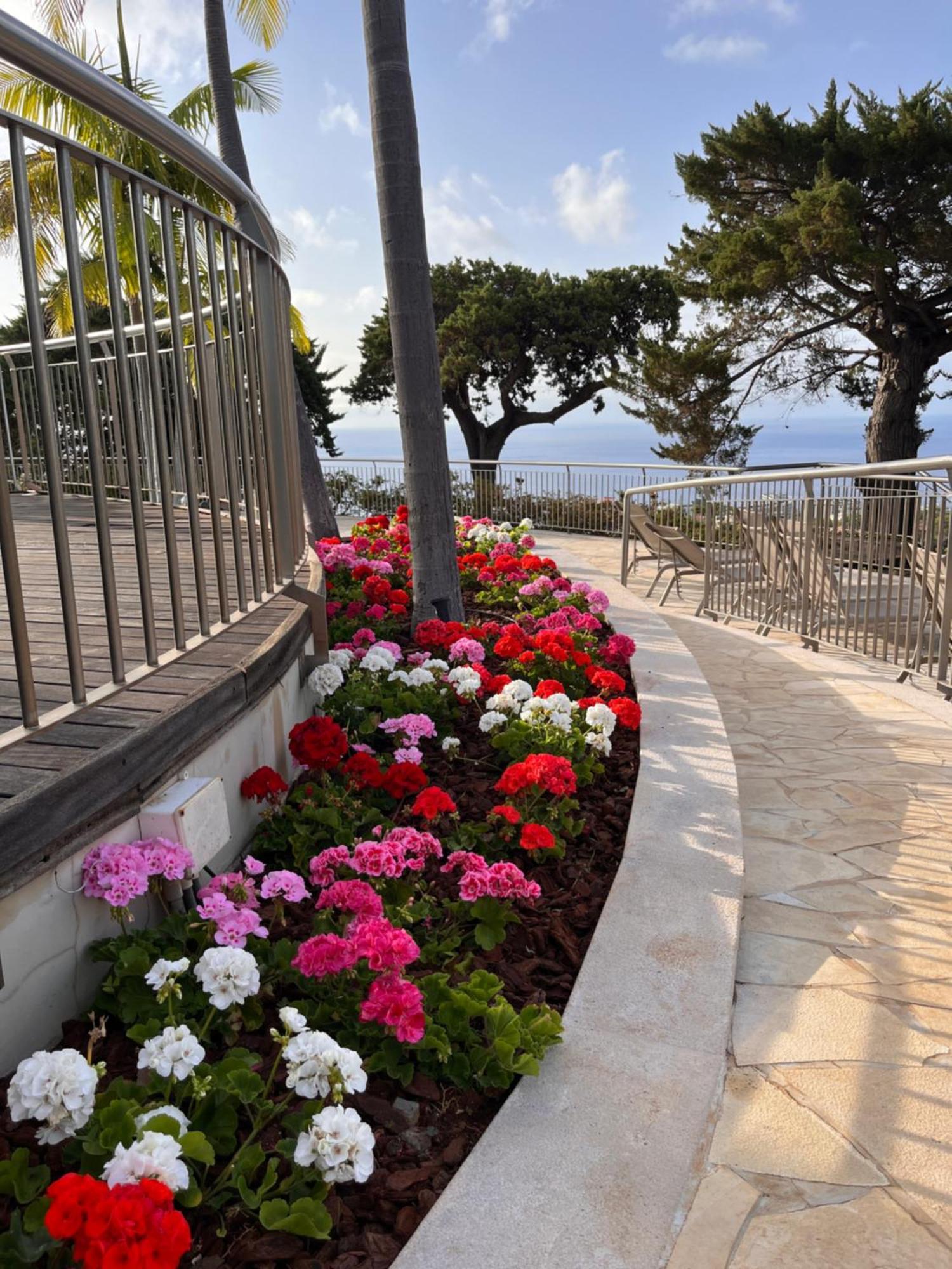 Hotel Quinta Funchal Gardens - Adults Only Exterior foto